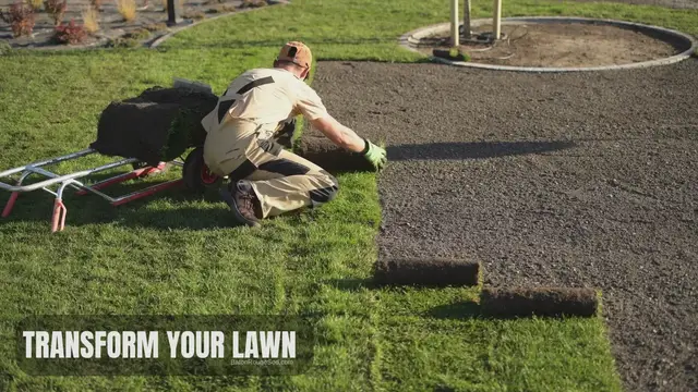 Video thumbnail for New Lawn Grass Sod Installation & Care - Baton Rouge Sod