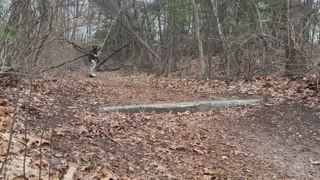 Video thumbnail for Trail Riding on a Onewheel is Outdoor Love