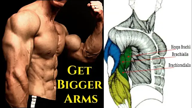 Video thumbnail for Sleeve-Busting Arm Routine | Get Bigger Biceps