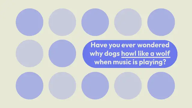 Video thumbnail for Why do dogs howl to music?