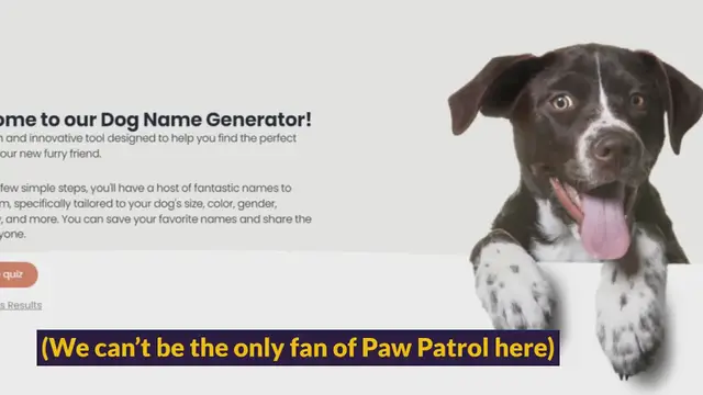 Video thumbnail for 330+ Alcohol Dog Names for your “Sotally Tober” Pup