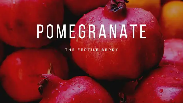Video thumbnail for The Fertile Berry: Pomegranate and the Magic of Fertility