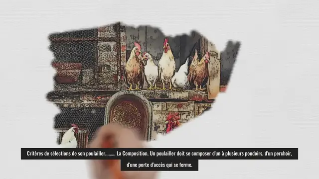 'Video thumbnail for Trouvez le meilleur poulailler pour vos poules'