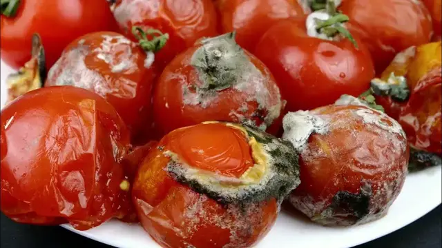 Video thumbnail for 11 Major Impact of Food Waste