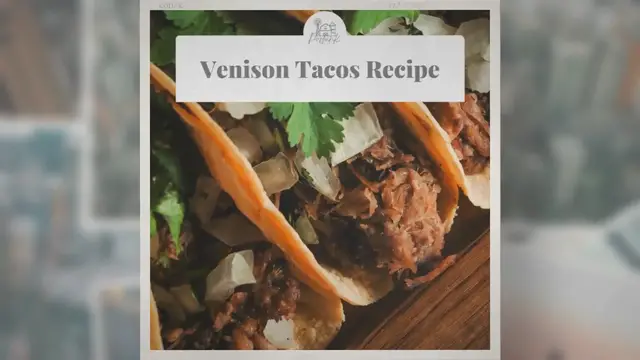 Video thumbnail for Best Venison Tacos Recipe