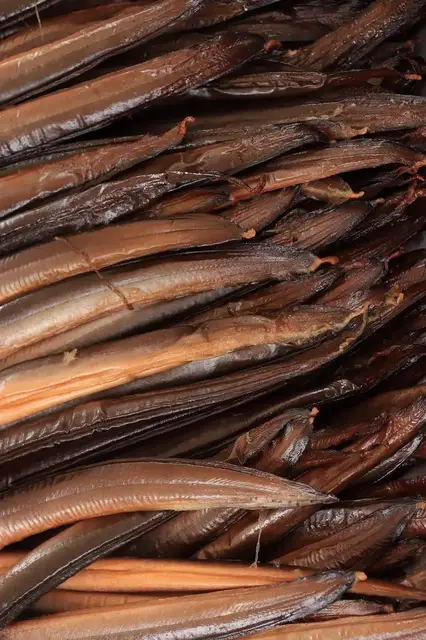 'Video thumbnail for Italian Anguilla: A Delicacy from the Sea'