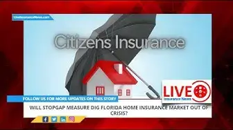 Video thumbnail for Spanish Version - Will stopgap measure dig Florida home insurance market out of crisis
