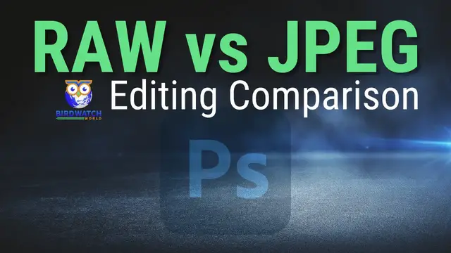 Video thumbnail for Editing RAW Files Vs JPEG Files