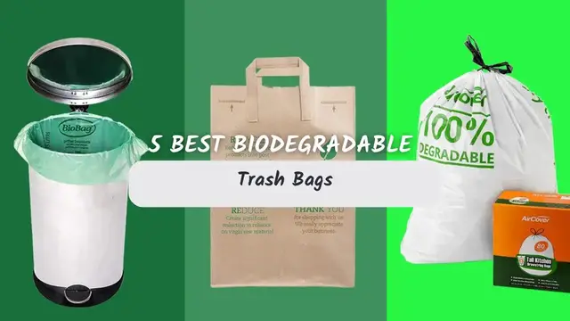 Video thumbnail for 5 Best Biodegradable Trash Bags For You!