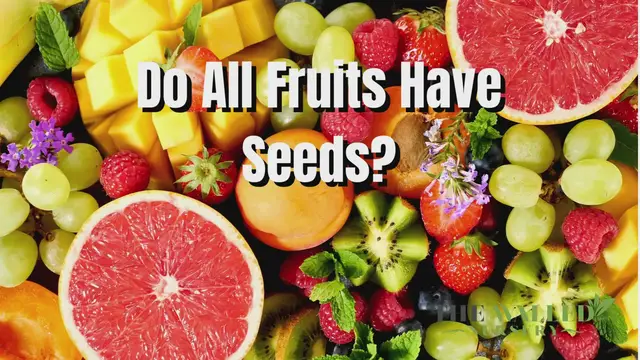 'Video thumbnail for Do Vegetables Have Seeds? - The Walled Nursery'