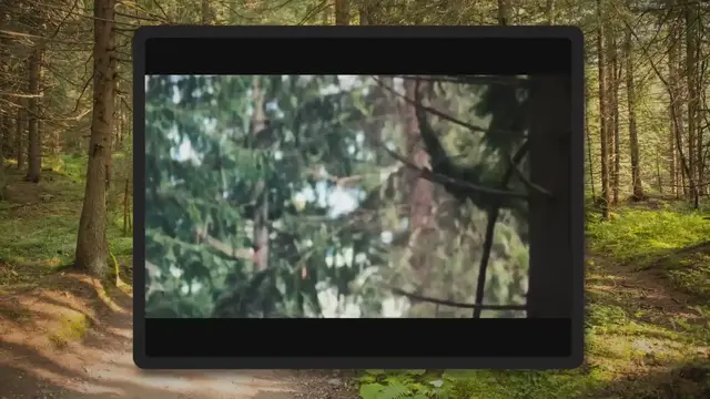 Video thumbnail for How to Cut a Leaning Tree in the Opposite Direction?