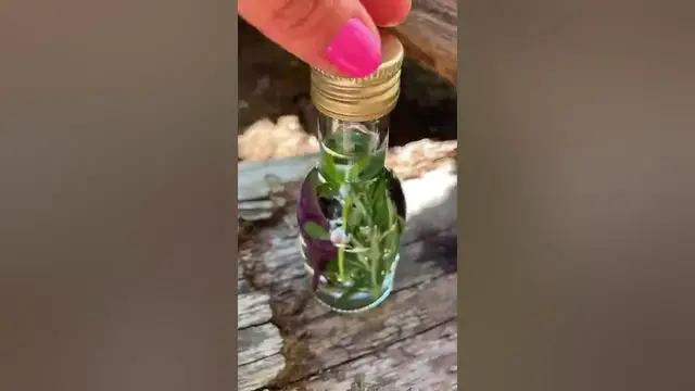 Video thumbnail for Kräuteressig selber machen Anleitung - Einfache Geschenkidee / Garten DIY