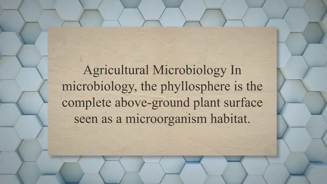 'Video thumbnail for Phyllosphere Microorganisms – Examples, Factors, Effects'