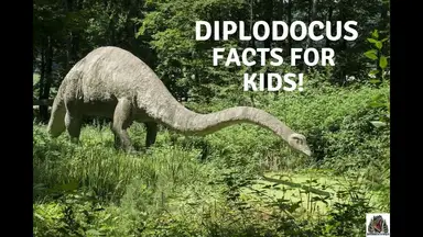 'Video thumbnail for Diplodocus facts for kids'