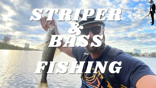 Video thumbnail for Striper & Bass Fishing At The Muddy River & Charles River Connection
