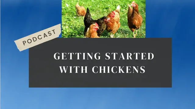 Video thumbnail for Getting Started With Chickens Podcast