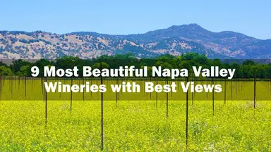 'Video thumbnail for 9 Most Beautiful Napa Valley Wineries with Best Views'