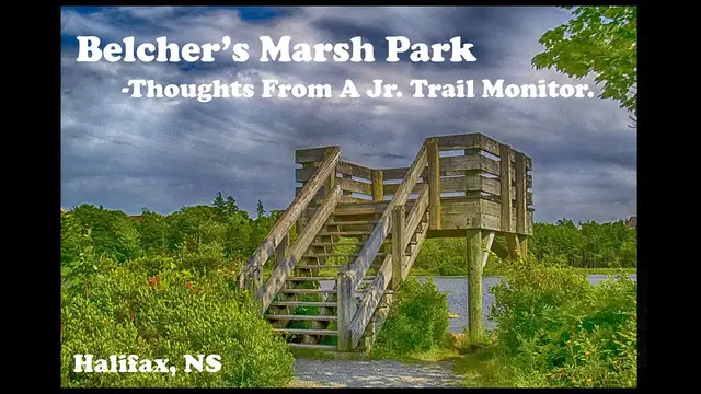 Video thumbnail for Building Trails, Community & Bonds - Thoughts From A Jr. Trail Monitor