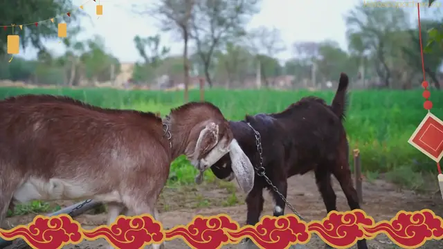 Video thumbnail for Lilith in Aries