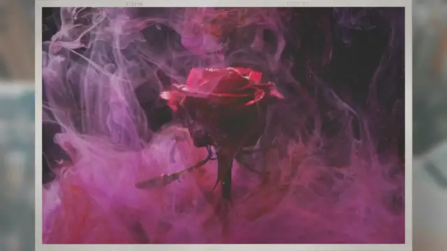Video thumbnail for Do Roses like Coffee Grounds?