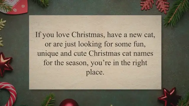 'Video thumbnail for Christmas Cat Names'