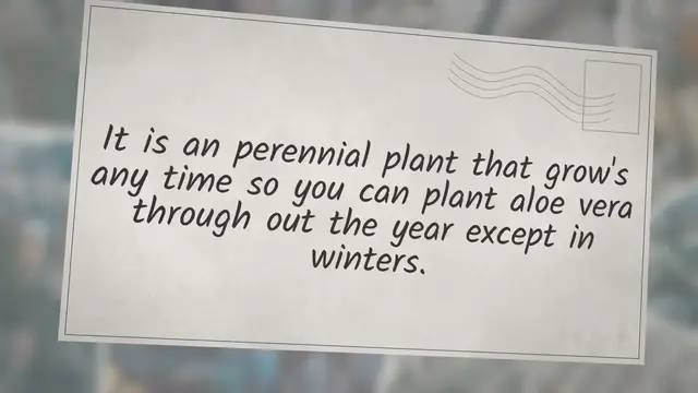 'Video thumbnail for Aloe Vera Farming Profit Per Acre | aloe vera cultivation project report'