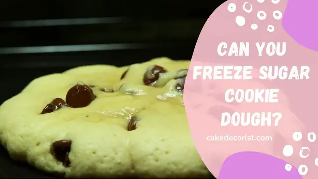 Video thumbnail for Can You Freeze Sugar Cookie Dough?
