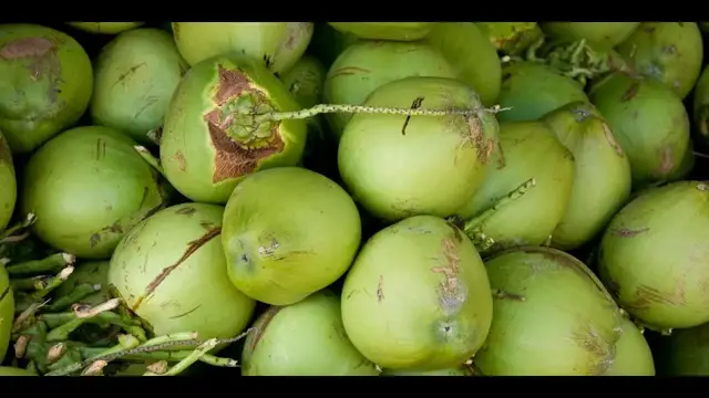 Video thumbnail for How To Use A Coconut Opener? Superb 3 Steps To Use It