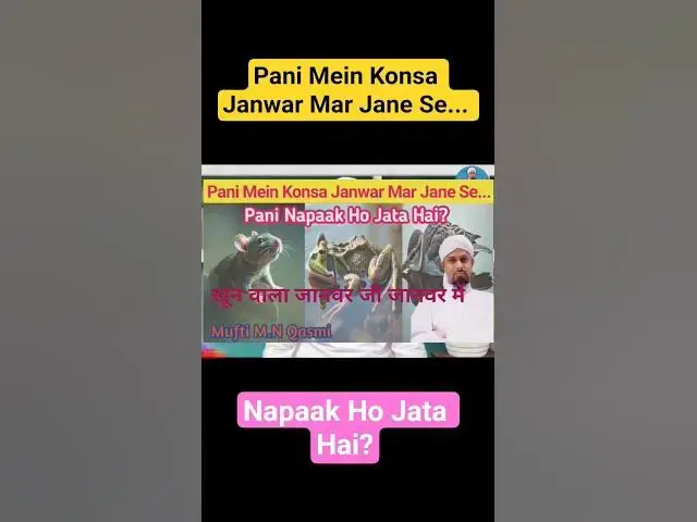 Video thumbnail for Pani Mein Konsa Janwar Mar Jane Se Pani Napaak Ho Jata Hai? #shortsfeed