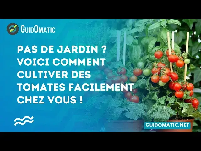 'Video thumbnail for 👉 Pas de jardin ? Voici comment cultiver des tomates facilement chez vous !'