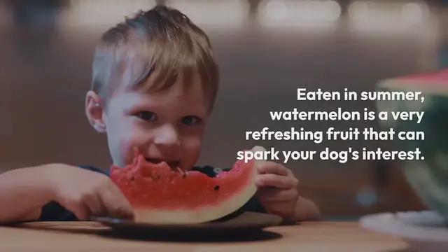 Video thumbnail for Can dogs eat watermelon?