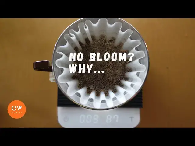 Video thumbnail for Bloom vs No Bloom: Coffee Brewing Truth