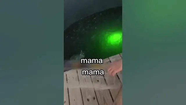 Video thumbnail for Biggest bait ever #fail #fails #mommy