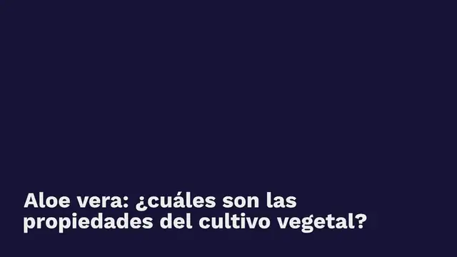 Video thumbnail for Aloe vera, de la hoja a la planta: con este método se reproduce infinitamente