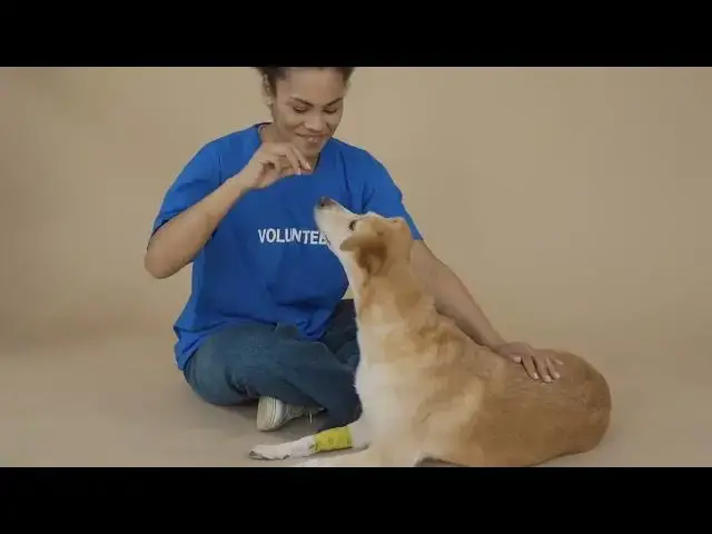 'Video thumbnail for How to Start Your Own Dog Training Business A Step by Step Guide'