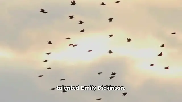 Video thumbnail for Poem about Birds, Penned by the talented Emily Dickinson