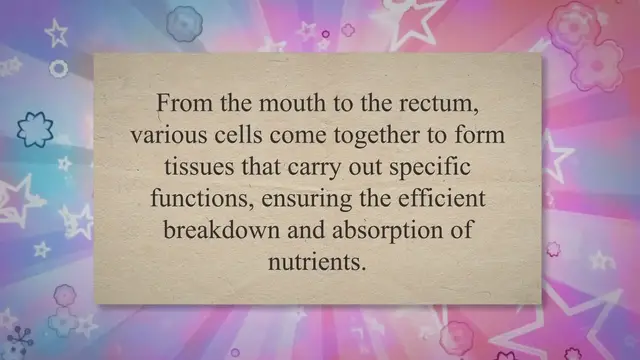 Video thumbnail for Cellular Structure and Function in the Digestive System Tissues