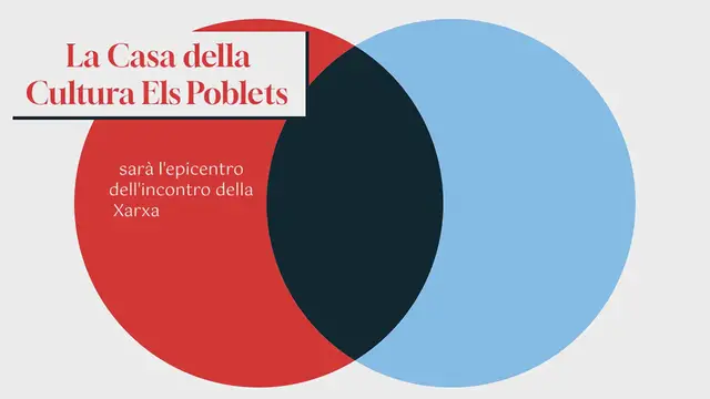 Video thumbnail for Els Poblets e El Verger, preoccupati per la peste dei cinghiali, chiedono ai sindaci della Marina Alta:
