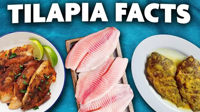 Video thumbnail for Watch This Before You Eat Tilapia Again