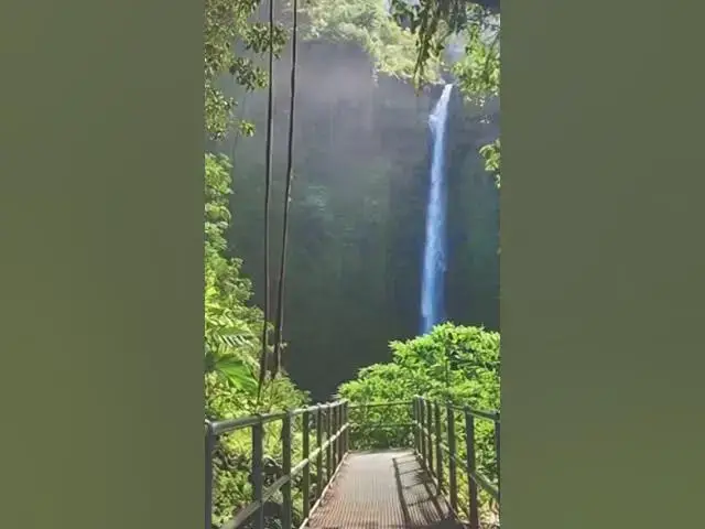 Video thumbnail for The Waterfall