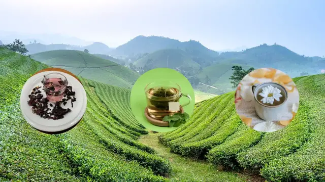 'Video thumbnail for benefits of oolong tea'