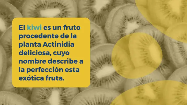 Video thumbnail for ¿Los perros pueden comer kiwi?