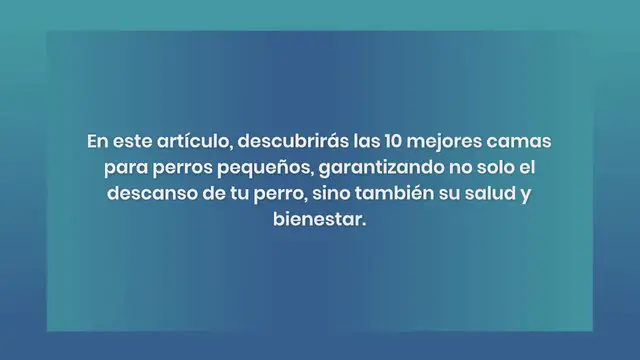 Video thumbnail for Las 10 Mejores Camas Para Perros Pequeños