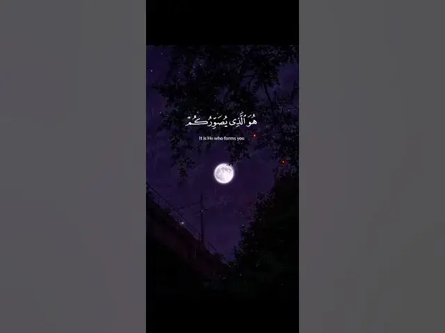 'Video thumbnail for SO BEAUTIFUL QURAN RECITATION ♥️]Abdul rahman mossad]Please subscribe'