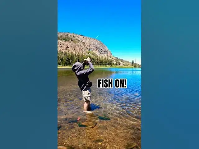 'Video thumbnail for High Altitude Trout Adventures: Chasing Giants with the Boys!'