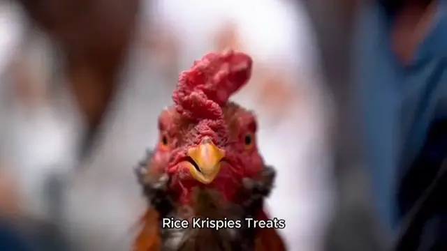 Video thumbnail for rice krispies treats recipe