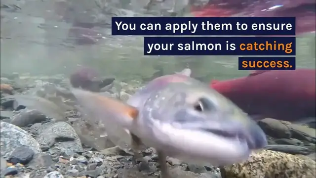 'Video thumbnail for Drift Fishing For Salmon'
