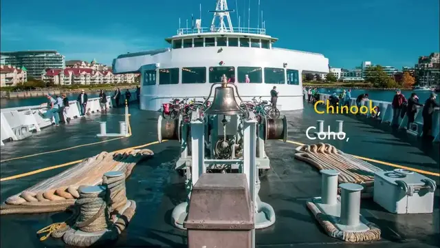 'Video thumbnail for Edmonds Pier Fishing'