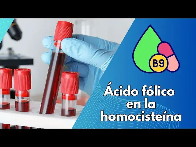Video thumbnail for Ácido fólico en la  homocisteína