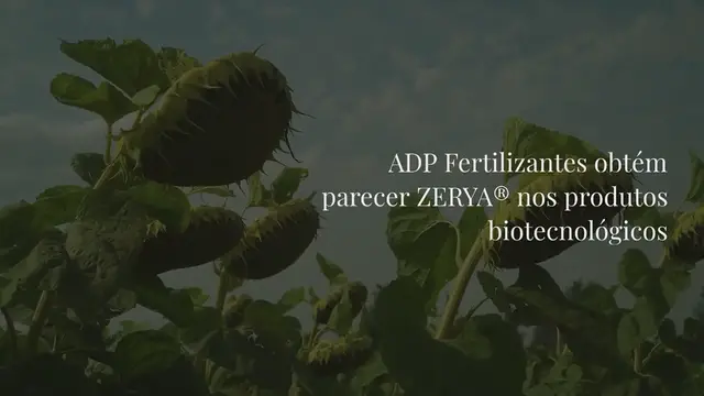 Video thumbnail for ADP Fertilizantes obtém parecer ZERYA® nos produtos biotecnológicos